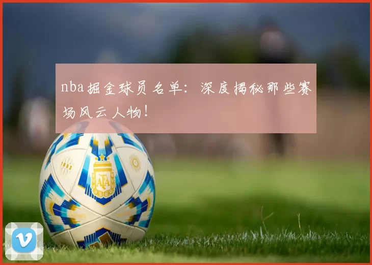 nba掘金球员名单：深度揭秘那些赛场风云人物！