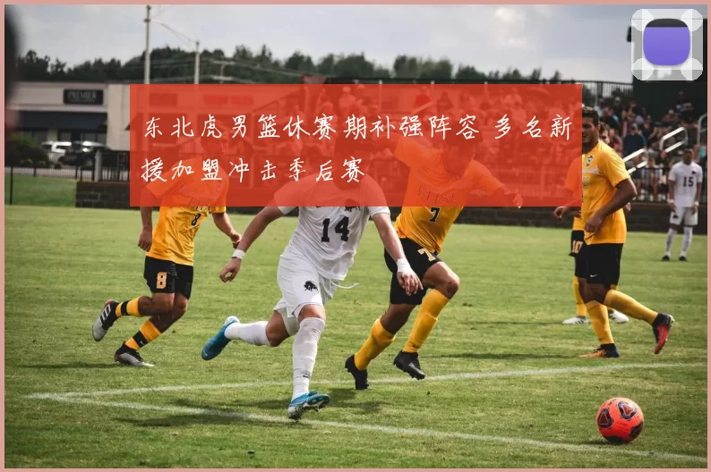 东北虎男篮休赛期补强阵容 多名新援加盟冲击季后赛