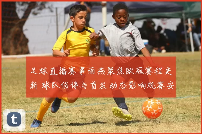 足球直播赛事雨燕聚焦欧冠赛程更新 球队伤停与首发动态影响观赛安排