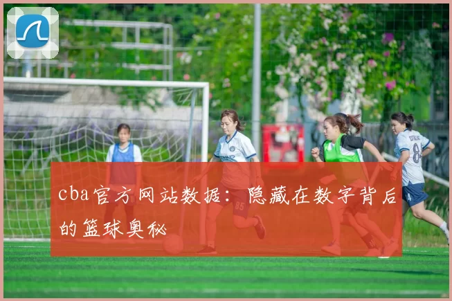 cba官方网站数据：隐藏在数字背后的篮球奥秘