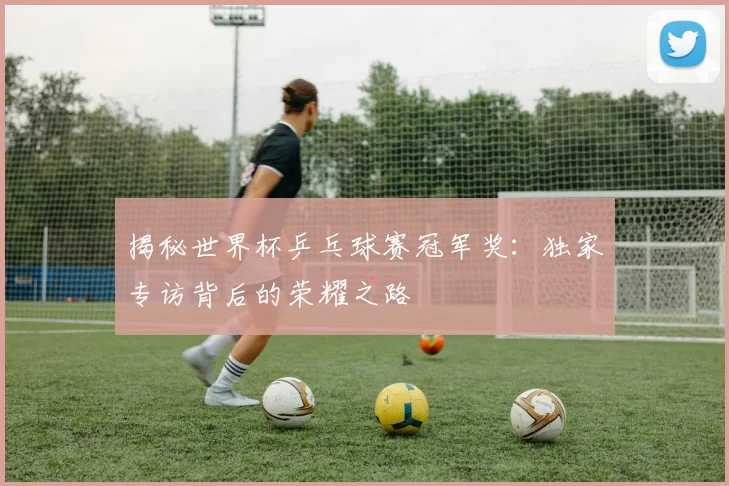 揭秘世界杯乒乓球赛冠军奖:独家专访背后的荣耀之路
