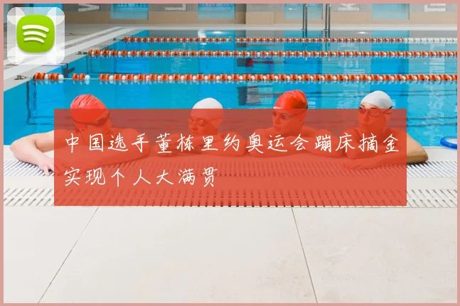 中国选手董栋里约奥运会蹦床摘金实现个人大满贯
