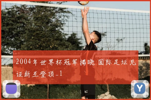 2004年世界杯冠军揭晓 国际足坛见证新王登顶_1