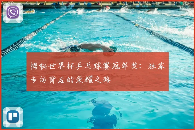 揭秘世界杯乒乓球赛冠军奖：独家专访背后的荣耀之路