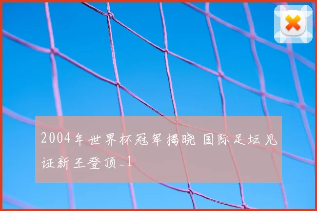 2004年世界杯冠军揭晓 国际足坛见证新王登顶_1