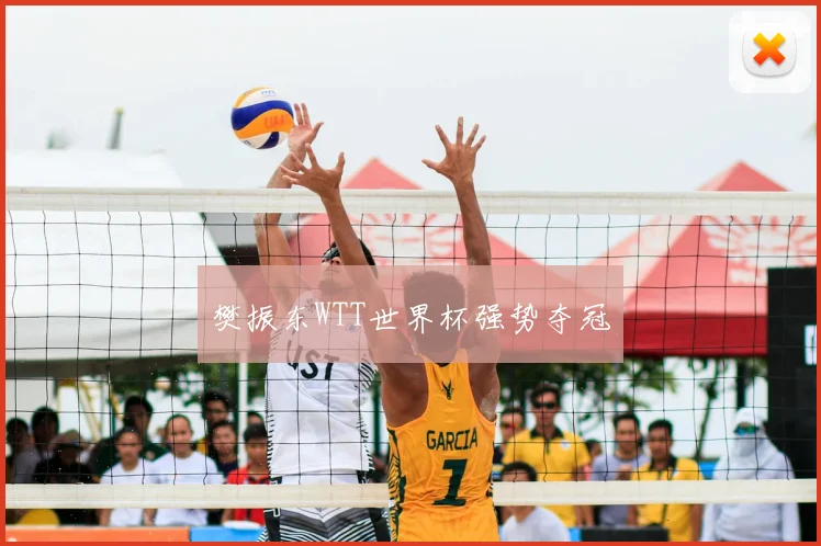 樊振东WTT世界杯强势夺冠