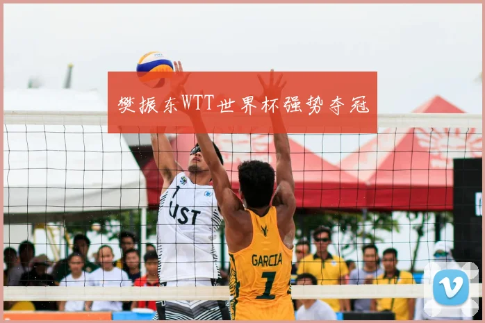 樊振东WTT世界杯强势夺冠