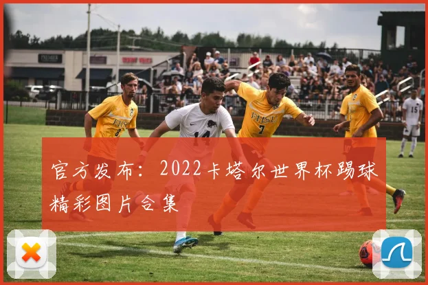官方发布：2022卡塔尔世界杯踢球精彩图片合集