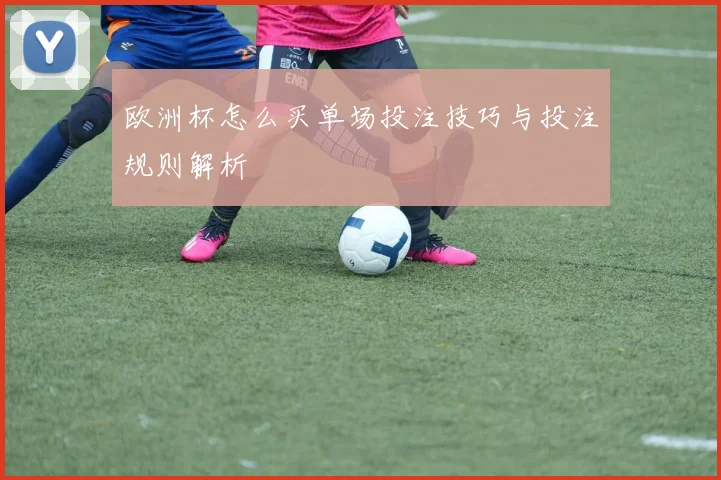 欧洲杯怎么买单场投注技巧与投注规则解析