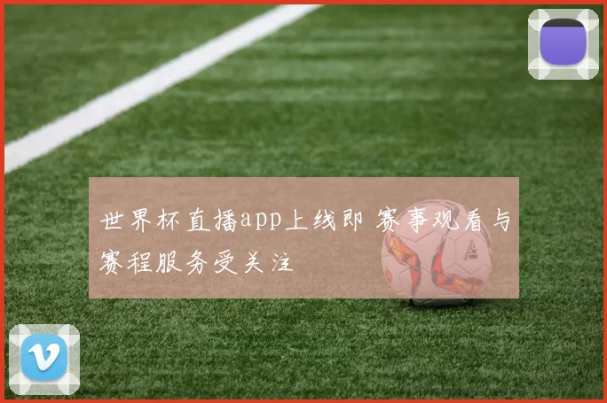 世界杯直播app上线即 赛事观看与赛程服务受关注