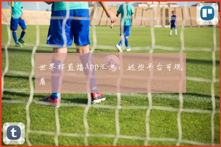 世界杯直播App汇总，这些平台可观看