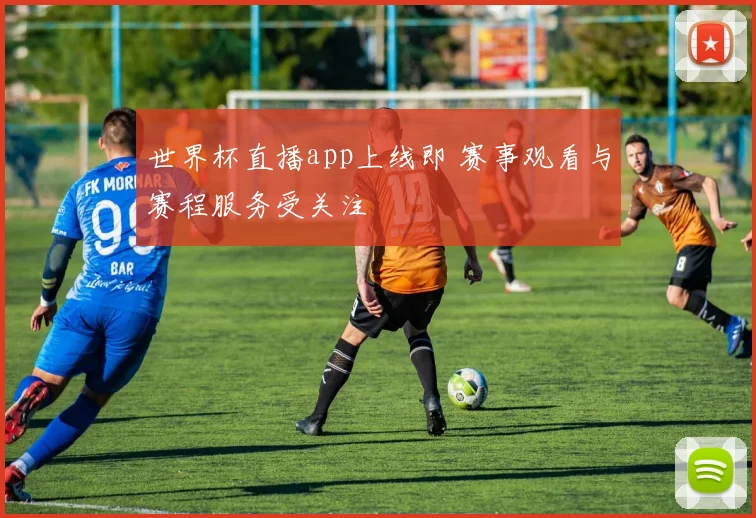 世界杯直播app上线即 赛事观看与赛程服务受关注